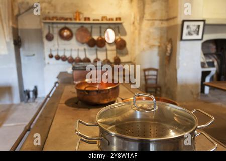 Cucina nel castello di le Lude, Sarthe, Pays de la Loire, Francia, Europa Foto Stock