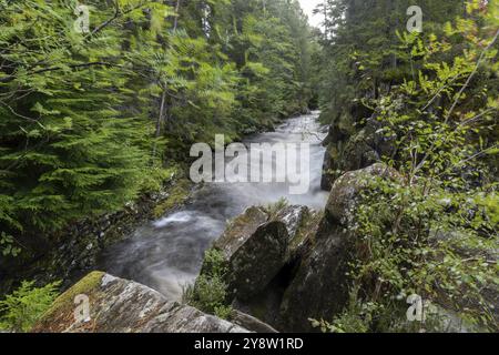 Cascate e rapide di Pattack, cascate sul fiume Pattack, Laggan, Highlands, Scozia, Gran Bretagna Foto Stock