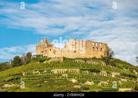 Rovine del castello a Staufen im Breisgau Foto Stock