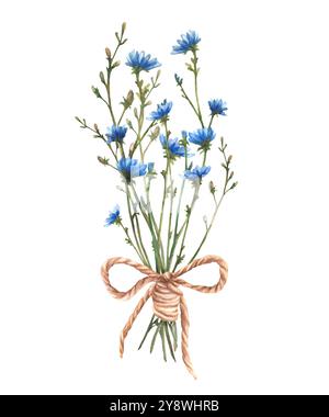 Bouquet di fiori selvatici legato con una corda. Fiori di cicoria blu con erbe verdi prato. Pianta da campo, composizione delle erbe. Clipart floreale estivo. Acquerello Foto Stock