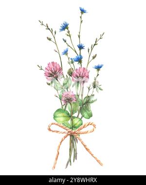 Bouquet di fiori selvatici legato a un trifoglio rosa cordoncino, fiori e gemme di cicoria blu, erbe di prato. Mucchio di vegetazione estiva acquerello disegnato a mano Foto Stock