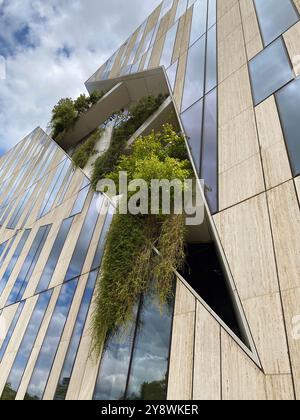 Alte Kapelle a Bielefeld. Germania. Foto Stock