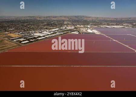 Cargill Salt Pond e Don Edwards San Francisco Bay NWR, Newark, California, Stati Uniti Foto Stock