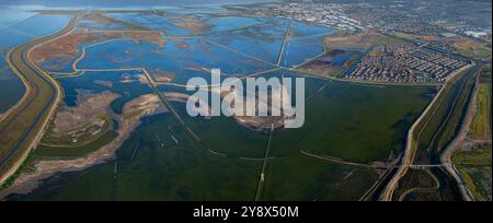 South Bay Salt Ponds, Newark, California, Stati Uniti Foto Stock