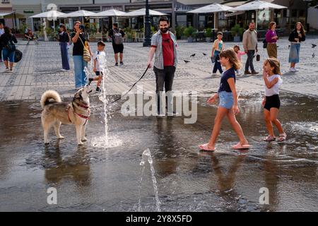 Un cane che beve dalla fontana di Piața Mare (piazza grande), Sibiu, Transilvania, Romania Foto Stock
