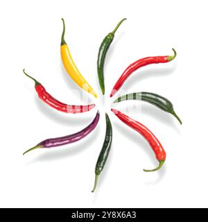 Anello di fuoco formato da peperoncini freschi. Peperoni di Cayenne, colorati peperoncini freschi, ruotano intorno a un centro. Frutta verde, rossa, gialla e viola. Foto Stock
