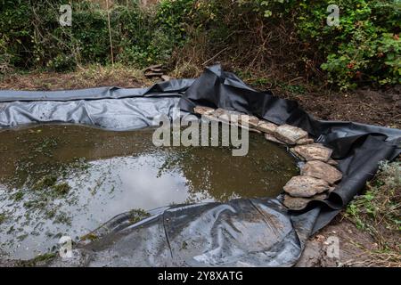 Creare e rivestire un laghetto con animali selvatici in un giardino, Regno Unito. Riempito con acqua di stagno dopo aver inserito il nuovo rivestimento nel foro prima di tagliare a misura Foto Stock
