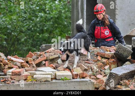 Breclav, Repubblica Ceca. 6 ottobre 2024. Due giorni Campionato di cani da soccorso dell'Associazione delle Brigate di soccorso dei cinologi della Repubblica Ceca a Breclav, 6 ottobre 2024. Crediti: Vaclav Salek/CTK Photo/Alamy Live News Foto Stock