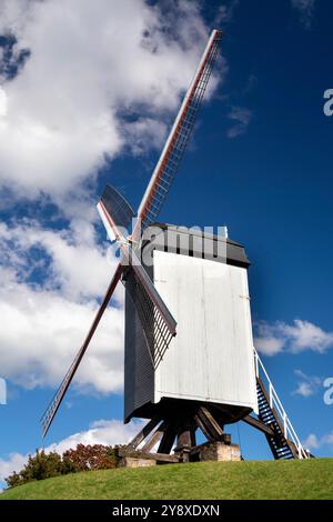Belgio, Fiandre, Bruges, Kazernevest, mulino Bonne-Chieremolen Foto Stock
