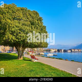 Gli alberi lussureggianti e il prato verde in un bellissimo parco lacustre di Ceresio a Lugano, Svizzera Foto Stock