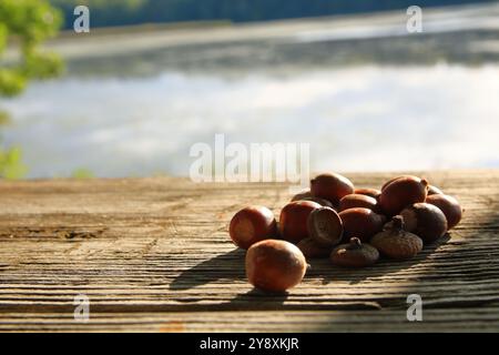 Ghiande su un tavolo da picnic colora le ombre autunnali lunghe Foto Stock