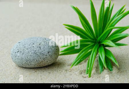 Pietra con sfondo vegetale con spazio personalizzabile per testo o idee. Foto Stock