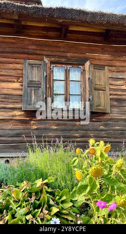 Foto verticale di una vecchia finestra di casa con un tetto in paglia e un letto di fiori pieno di fiori colorati in primo piano. Fascino rustico, tradizionale a Foto Stock