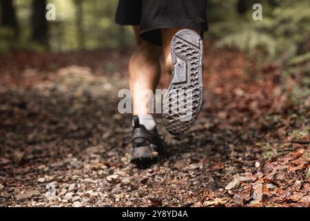 Le gambe di un atleta maschile non riconosciuto che corre su un sentiero forestale nella stagione autunnale Foto Stock