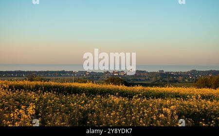 Kuehlungsborn, Germania - 30 maggio 2021: Città di Kuelungsborn, Germania con una ruota panoramica dietro un campo di colza in una serata primaverile. Foto Stock