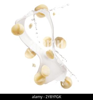 Noci di macadamia e schizzi di latte in aria su sfondo bianco Foto Stock