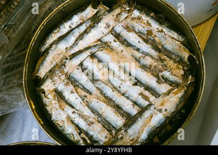 Acciughe. Una golosa delicatezza salata, in olio, sul pane, con il formaggio o le salse. Foto Stock