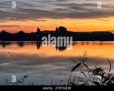 Alba nella riserva naturale di Attenborough a Nottingham. Immagine di Mark Dunn Photography Ltd Foto Stock