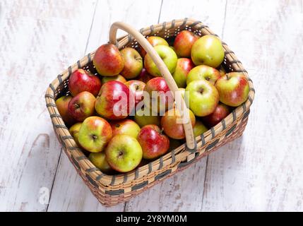 Un cestino di salici pieno di mele appena raccolte Foto Stock