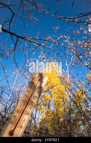 Il termometro nella calda giornata autunnale in una foresta autunnale mostra alte temperature su sfondo blu del cielo Foto Stock