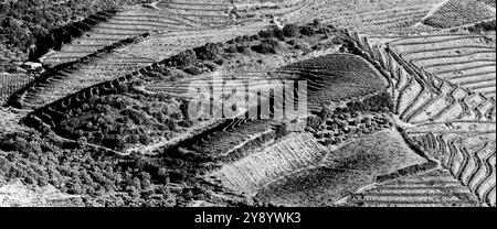 Vista aerea delle terrazze di agricoltura vinicola vicino a Villa Nova de Foz COA, Portogallo Foto Stock