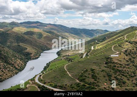 Famosa valle del Douro, patrimonio mondiale dell'umanità, con terrazze di viti e il fiume, una nave da crociera che passa accanto, vicino al villaggio Villa Nova de Foz COA, Portogallo Foto Stock