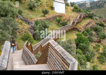 Una giovane donna che cammina su una passerella di legno nella valle del Douro e del COA sulle orme dei famosi petroglifi dell'età della pietra, il Portogallo Foto Stock