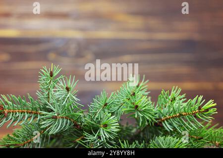 Rami dell'albero di Natale su sfondo in legno con copia rami dell'albero di Natale su sfondo in legno con spazio per copie Foto Stock
