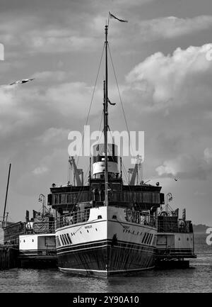 L'ultima nave a vapore, la Waverley, ormeggia a Whitstable Harbour nell'estate del 2024. Foto Stock