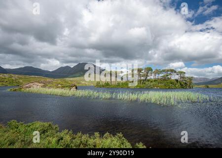 Splendida Pine Island a Derryclare Lough, Connemara, Contea di Galway, Irlanda, con la catena montuosa Twelve Bens sullo sfondo Foto Stock