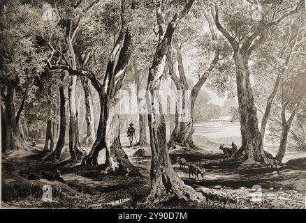 Una vista del tardo XIX secolo su un uliveto italiano vicino al Lago di Garda. Con un pastore che cura il suo gregge--veduta di un uliveto italiano nei pressi del lago di Garda, risalente alla fine del XIX secolo, con un pastore che si prende cura del suo gregge. Foto Stock