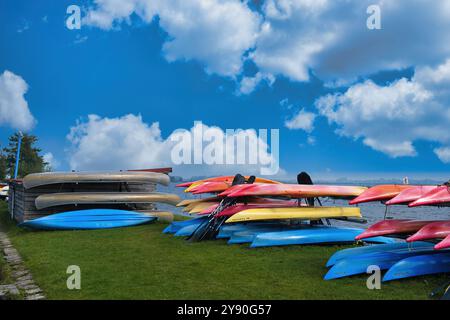 Canoe colorate e kayak in rack sulla riva di un lago. Leekstermeer, provincia di Groninga, Paesi Bassi Foto Stock