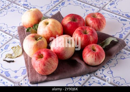 Le mele rosse giacciono su un tovagliolo di lino su un tavolo con una superficie piastrellata blu e bianca. Foto Stock