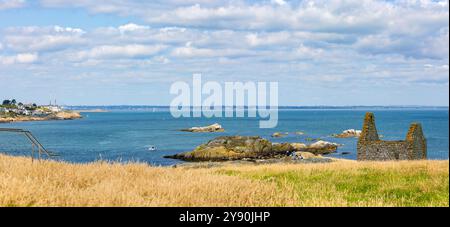 Panorama della baia di Dublino, vista dall'isola di Dalkey, che mostra le rovine della chiesa di St Begnets, Clare Rock e l'isola di Agnello con Poolbeg in lontananza. Irlanda Foto Stock