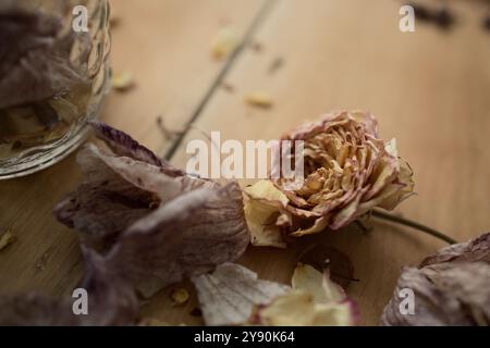 In questa scena autunnale, i fiori secchi riposano su uno sfondo rustico in legno per essere conservati in vasetti mason. I vasetti conserveranno i petali di rosa essiccati. Foto Stock