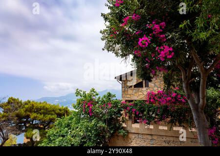 Casa in pietra con una bella boscaglia fiorita contro il cielo blu. Paesaggio del Mediterraneo meridionale, Alanya, Turchia. Foto di alta qualità Foto Stock