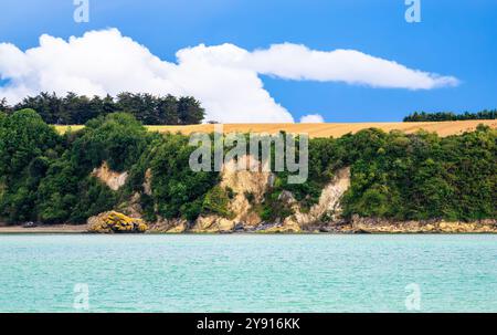 Un tranquillo paesaggio costiero in Bretagna caratterizzato da un mare turchese calmo, una scogliera verde con alberi e un cielo blu con soffici nuvole bianche. Foto Stock