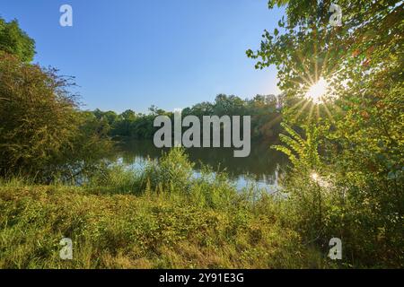 Meno calmo con alberi circostanti e raggi del sole che splendono tra le foglie, autunno, tramonto, Grossheubach, Miltenberg, Main, Spessart, Baviera, Germania, e Foto Stock