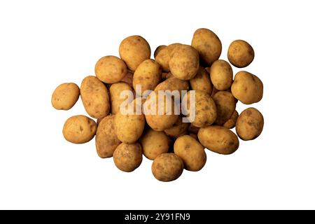 mucchio di patate fresche e crude raccolte da fondo bianco isolato della piantagione. Vista dall'alto. Foto Stock