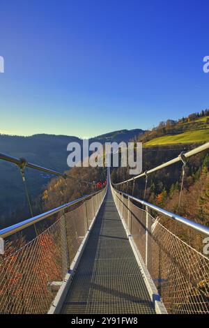 Vista longitudinale di un ponte sospeso che conduce su colline boscose, linea della Foresta Nera, ponte sospeso, Todtnau, Baden-Wuerttemberg, Germania, Europ Foto Stock