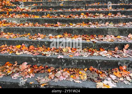 Scale di pietra ricoperte di foglie autunnali. Sfondo autunnale Foto Stock