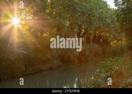 Attrazioni di Tolosa di giorno e di notte Foto Stock