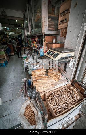 Vista fantastica dei pesci secchi e salati in mostra e in vendita in un negozio di alimentari vicino al mercato del pesce a Port Louis, Mauritius Foto Stock