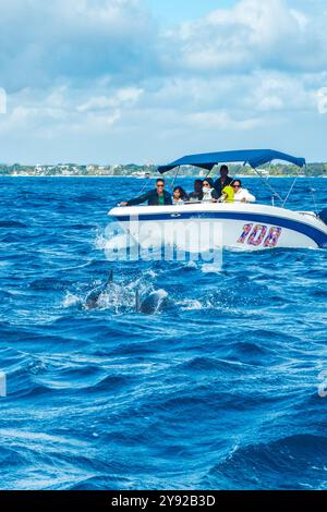 Vista di una barca con turisti che inseguono un branco di delfini in un tour di avvistamento dei delfini al largo della costa settentrionale delle Mauritius Foto Stock