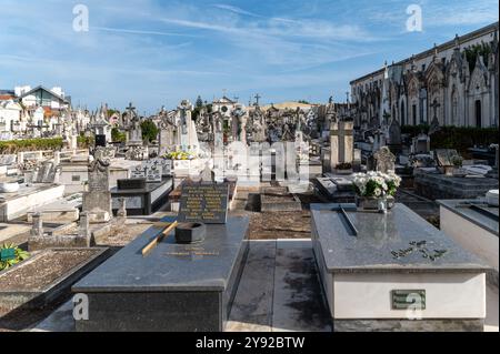 Aveiro, Portogallo - 11 settembre 2024 : i visitatori esplorano un tranquillo cimitero adornato da elaborati monumenti e lapidi. Foto Stock