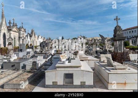 Aveiro, Portogallo - 11 settembre 2024 : Cimitero con elaborate lapidi sotto un cielo azzurro limpido in una giornata di sole Foto Stock