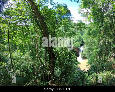 Cascata Haew Suwat nella foresta pluviale del Parco Nazionale di Khao Yai, Thailandia, con foresta pluviale, giungla e alberi. Viaggia nel sud-est asiatico Foto Stock