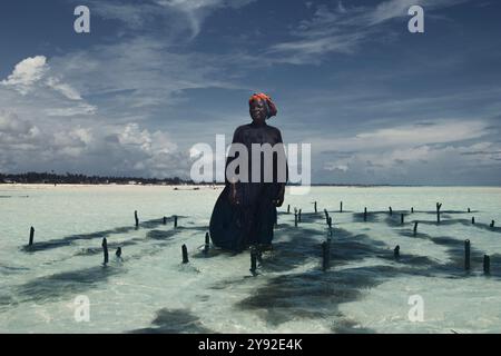 In mezzo alla tranquilla bellezza della costa di Zanzibar, lavora con grazia nelle acque poco profonde e cristalline. Il sole si riflette al largo del mare turchese, cas Foto Stock