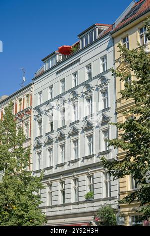 Altbauten, Rykestraße, Prenzlauer Berg, Pankow, Berlino, Deutschland *** Old Buildings, Rykestraße, Prenzlauer Berg, Pankow, Berlino, Germania Foto Stock