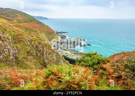 Costa rocciosa nella regione di South Hams nel Devon meridionale, vicino a Salcombe. Inghilterra Foto Stock